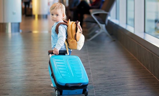 How does the Family Law Watchlist work?